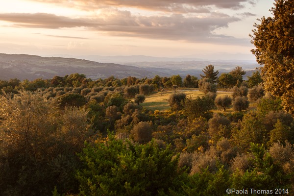 Tuscan Landscapes - Photography by www.paolathomas.com