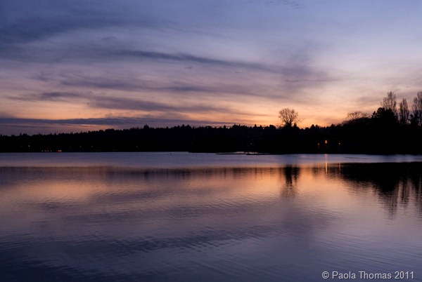 greenlakeseattle (6 of 9)