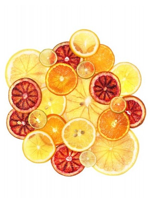 charlotte-omnes-citrus1