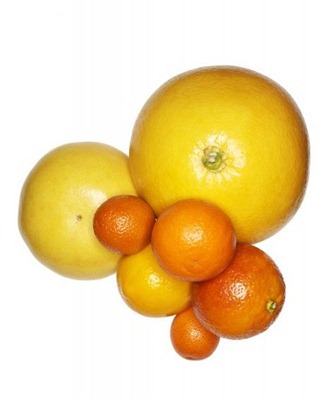 charlotte-omnes-citrus