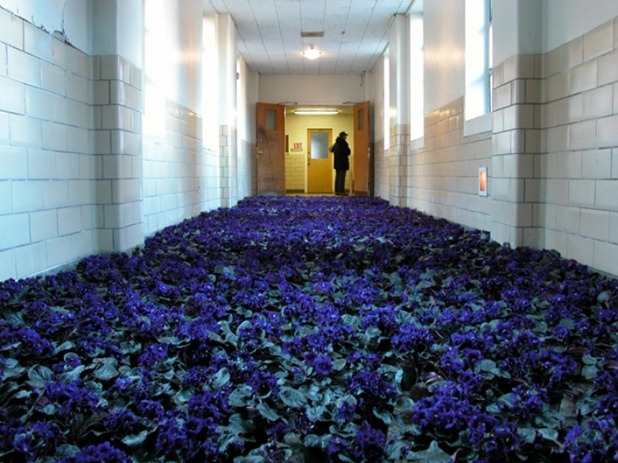 BLOOM-by-Anna-Schuleit-Blue-Hallway